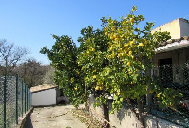 ref. n2818 Partially restored, 200 year old farm house of 450sqm with 5 hectares, sea and mountain views full of character. 14