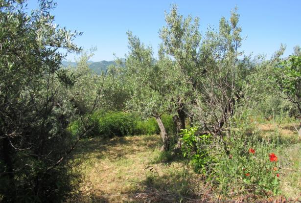 Stone, detached cottage with 1800sqm of land and amazing mountain views with building rights. 11