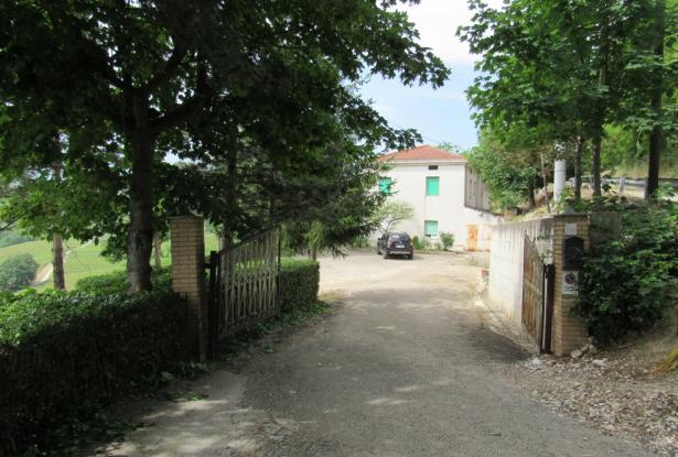 5 bedroom, 3 bathrooms 200sqm farm , detached, with 3 hectares of vines, habitable with separate apa 2