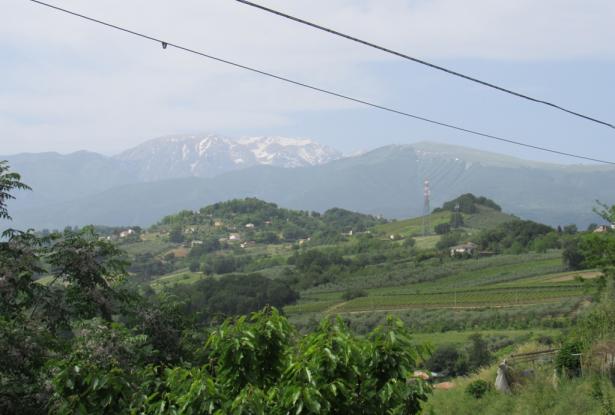 5 bedroom, 3 bathrooms 200sqm farm , detached, with 3 hectares of vines, habitable with separate apa 4