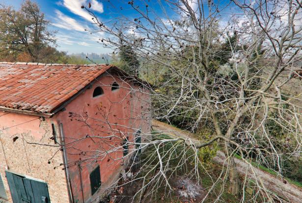 Castelvetro, a farmhouse that tickles the senses 71