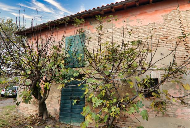 Castelvetro, a farmhouse that tickles the senses 85