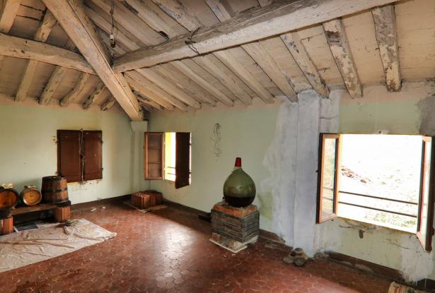 Castelvetro, a farmhouse that tickles the senses 50