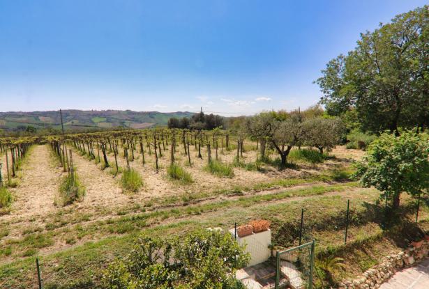 Casalbordino, the Giant's farmhouse 61