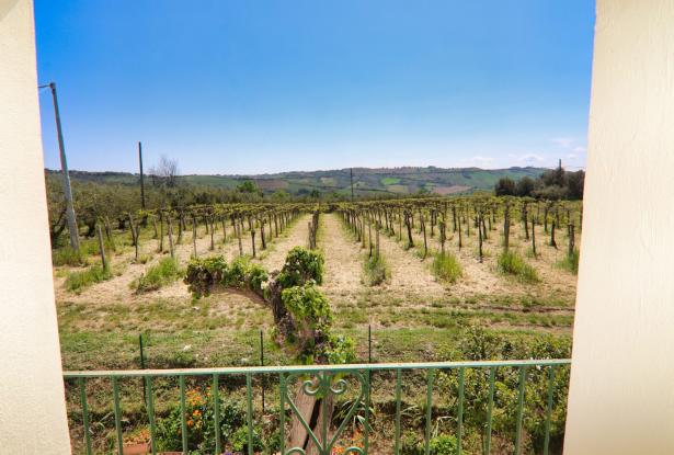 Casalbordino, the Giant's farmhouse 59