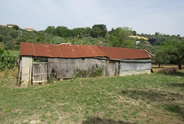 Semi-detached bungalow with 4500 sqm of olive grove and barn to convert 15 minutes to the beach. 3