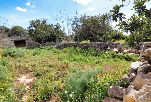 Scicli, stone farmhouse with land 20