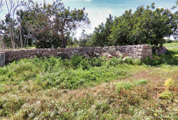 Scicli, stone farmhouse with land 19
