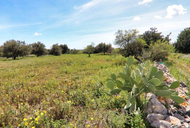 Scicli, stone farmhouse with land 42