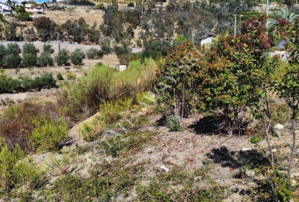 L1196 Plot of land with approved project for sale in Bordighera. 12
