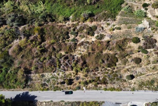 L1196 Plot of land with approved project for sale in Bordighera. 13
