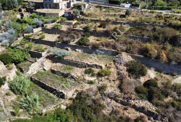 L1196 Plot of land with approved project for sale in Bordighera. 14