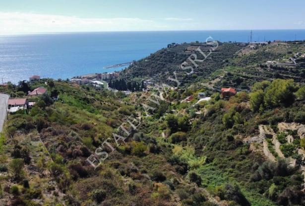 L1196 Plot of land with approved project for sale in Bordighera. 16
