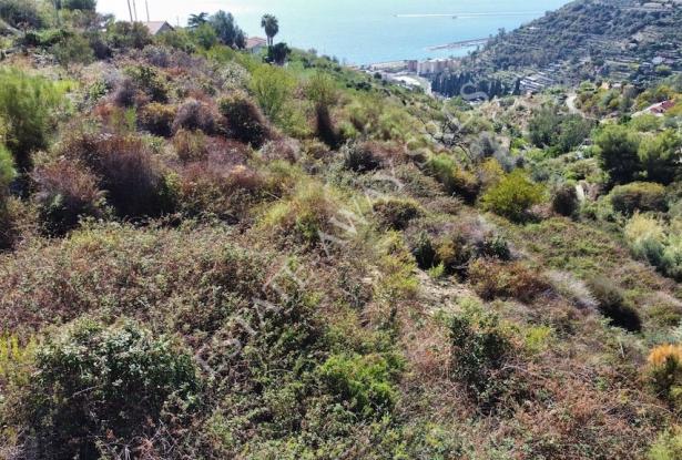 L1196 Plot of land with approved project for sale in Bordighera. 17