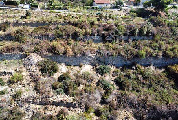L1196 Plot of land with approved project for sale in Bordighera. 18