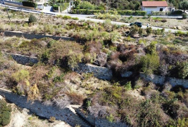 L1196 Plot of land with approved project for sale in Bordighera. 19