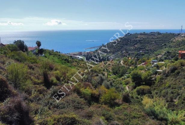 L1196 Plot of land with approved project for sale in Bordighera. 9