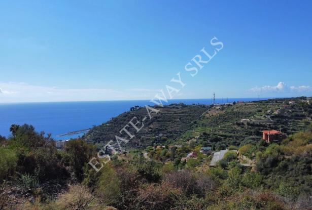 L1196 Plot of land with approved project for sale in Bordighera. 0