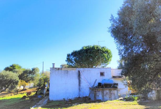 Ostuni Ref: 4939 9 Ostuni Ref: 4939 9