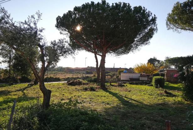 Civitavecchia, building plot 7