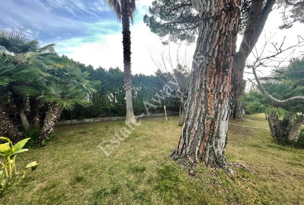 L1203 Villa with garden and sea view for sale in Bordighera 9