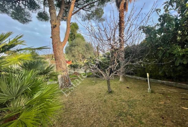 L1203 Villa with garden and sea view for sale in Bordighera 10