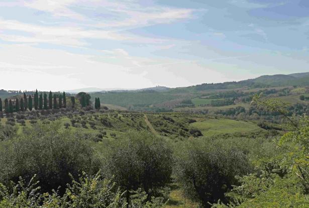 large farm with chianti docg wineyards, Ref. 835 5