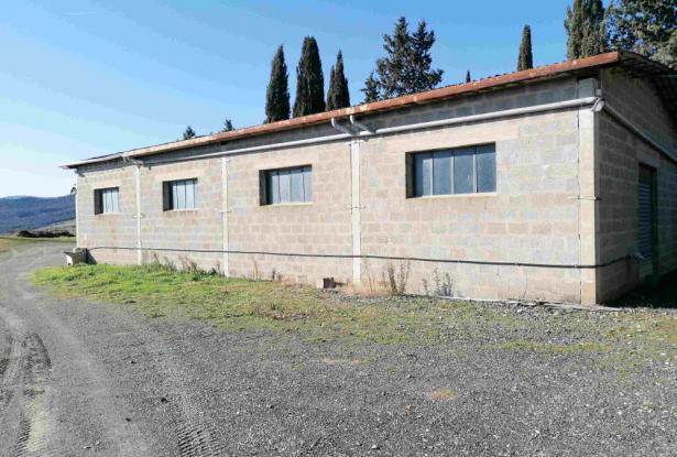large farm with chianti docg wineyards, Ref. 835 4
