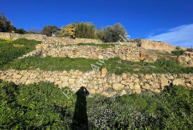 L1205 Plot of land with sea view and easy access for sale in Bordighera 9