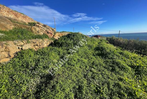 L1205 Plot of land with sea view and easy access for sale in Bordighera 11