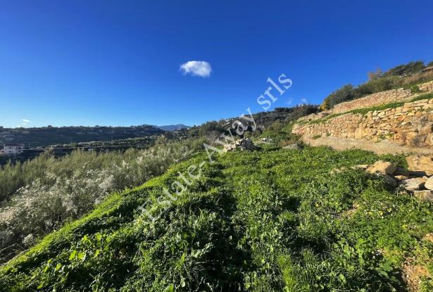 L1205 Plot of land with sea view and easy access for sale in Bordighera 1