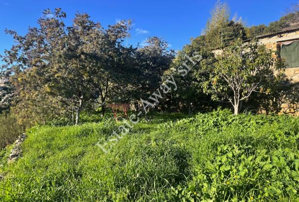 L1205 Plot of land with sea view and easy access for sale in Bordighera 19