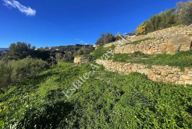 L1205 Plot of land with sea view and easy access for sale in Bordighera 2