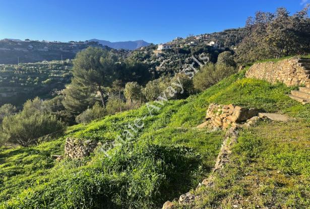 L1205 Plot of land with sea view and easy access for sale in Bordighera 4