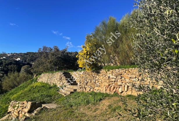 L1205 Plot of land with sea view and easy access for sale in Bordighera 5