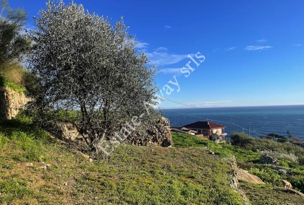 L1205 Plot of land with sea view and easy access for sale in Bordighera 6