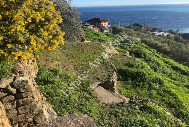 L1205 Plot of land with sea view and easy access for sale in Bordighera 8