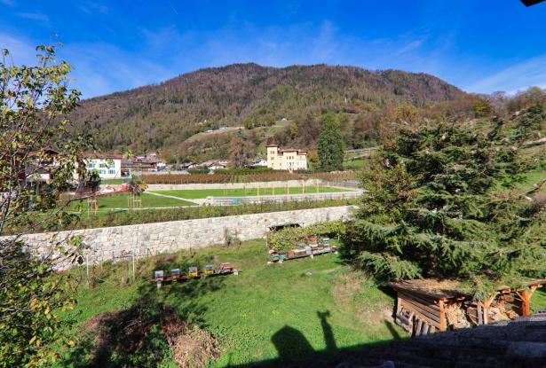 Telve di Sopra, two rooms in the sun 43