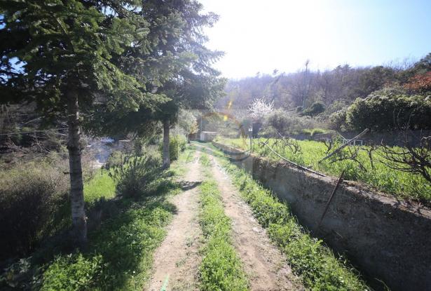 L841 For sale in Dolceacqua, detached house 14