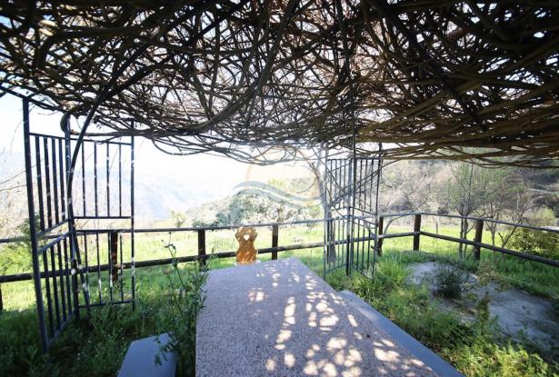 L841 For sale in Dolceacqua, detached house 16