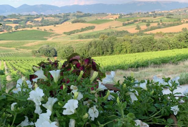 Amazing timeless views from the Property unspoiled, timeless countryside views from the Property