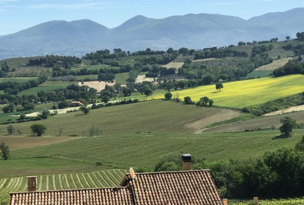 Vast views from the Property Ever-changing seasonal views from the Property