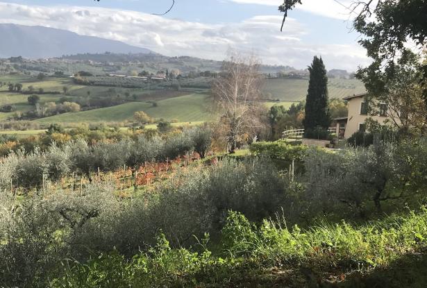 The Magnificent Setting/Location of the Property the incredibly gorgeous and unspoiled countryside as viewed from the Property