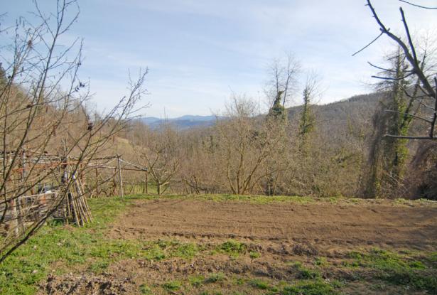 HOUSE WITH GARDEN AND PANORAMIC VIEW HOUSE WITH GARDEN AND PANORAMIC VIEW
