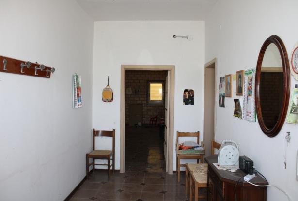Detached, Bungalow of 110sqm with 4000sqm of olives, 2 beds, 7km to beach with outbuilding 2