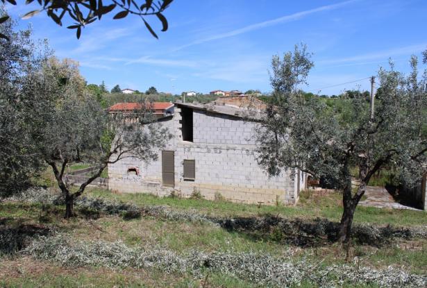 Detached, Bungalow of 110sqm with 4000sqm of olives, 2 beds, 7km to beach with outbuilding 6