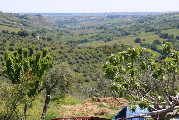 1 hectare of land with a detached 20sqm house, 10km to the beach and beautiful sea views 1