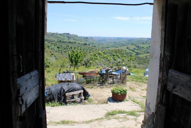 1 hectare of land with a detached 20sqm house, 10km to the beach and beautiful sea views 5