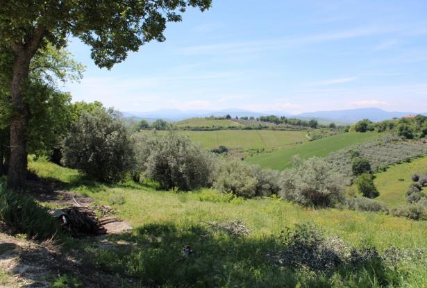 1 hectare of land with a detached 20sqm house, 10km to the beach and beautiful sea views 7