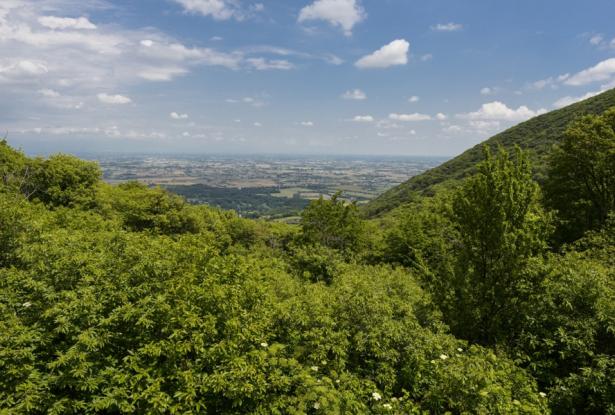 Teolo – Euganean Hills – Stunning villa with swimming pool and amazing view. Ref. 97 10